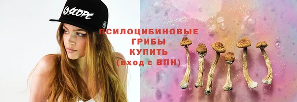первитин Лабытнанги
