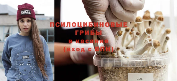 синтетический гашиш Ладушкин